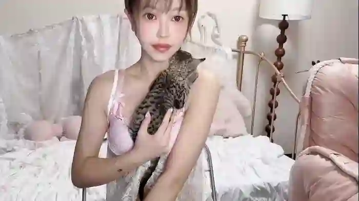 jingyan666