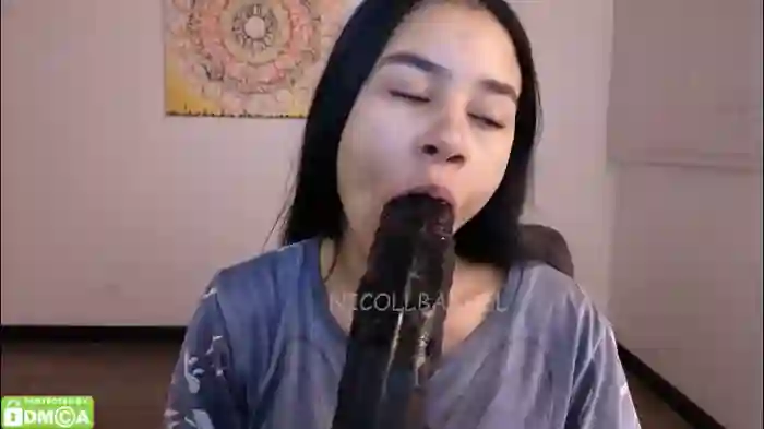 nicollbashel