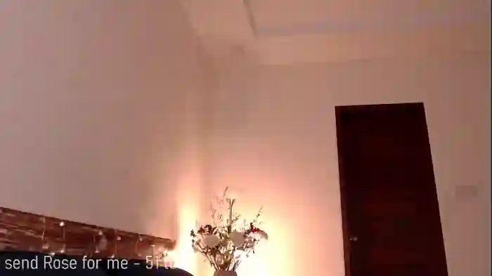 yourlovelykat