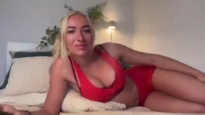 heyskylar