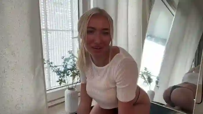 heyskylar