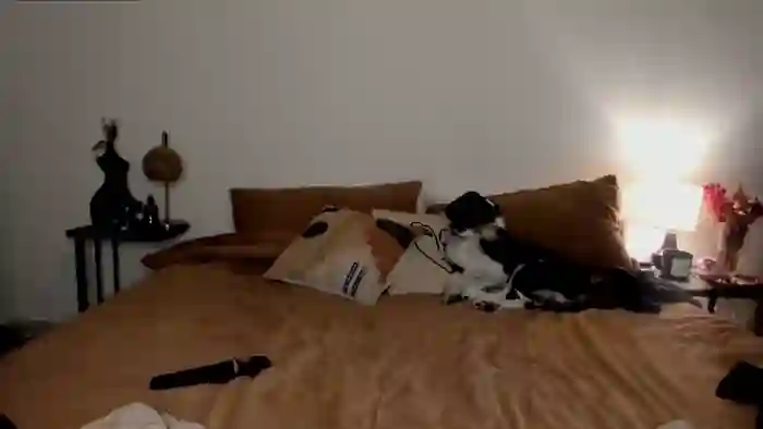 theselina_kyle