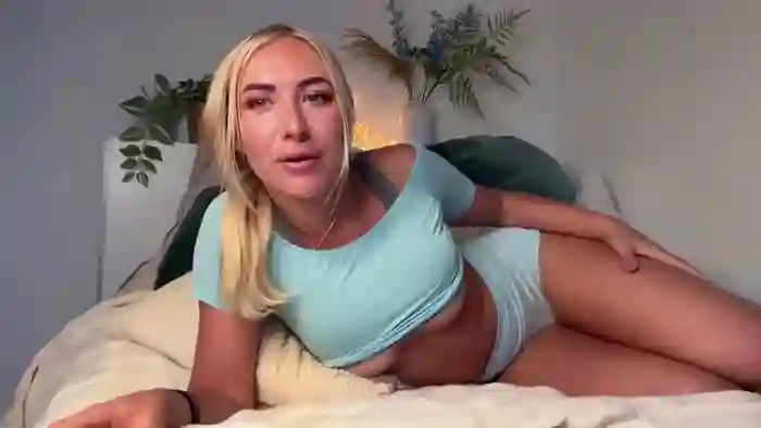 heyskylar