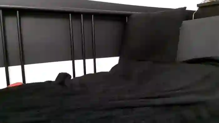 apollobest77