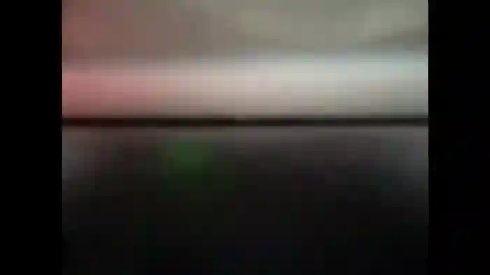 evelyn_jhonson3
