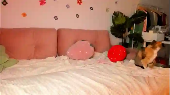 thisisamelia