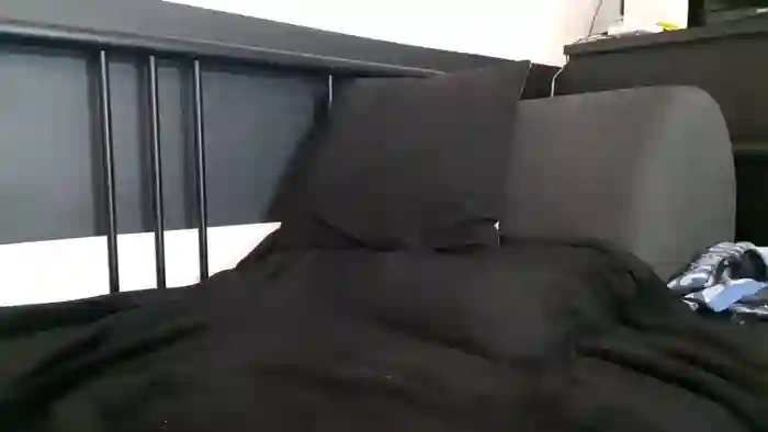 apollobest77