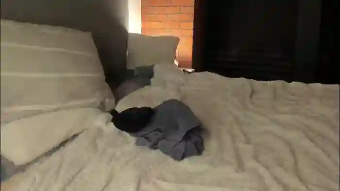 rachel_rey