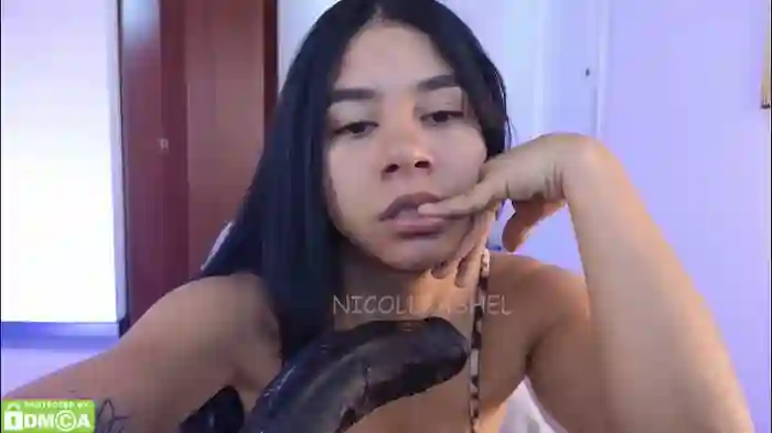 nicollbashel