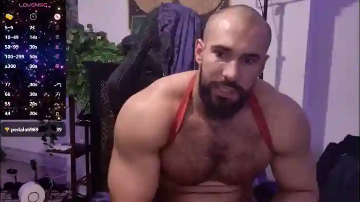 musculusx
