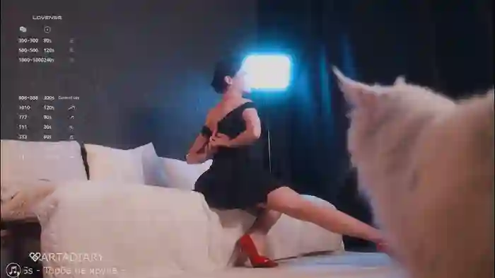 _arta_