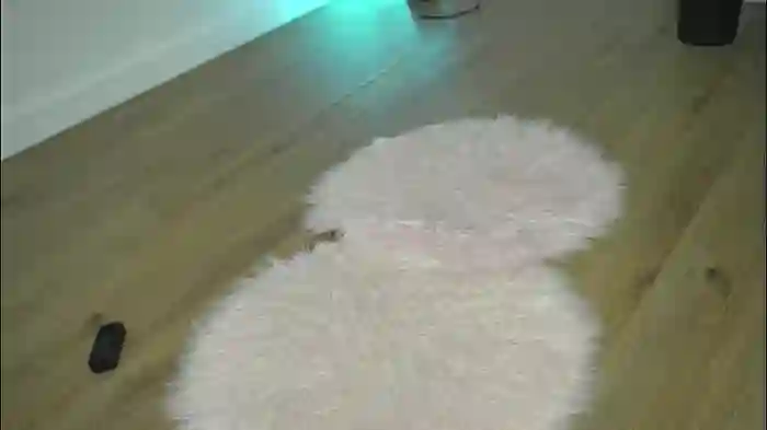 alexxiskye