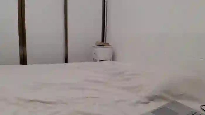 apollobest77
