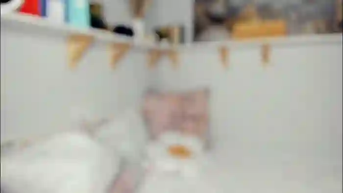 bunny_nova