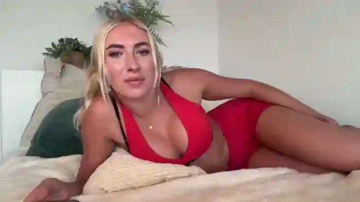 heyskylar