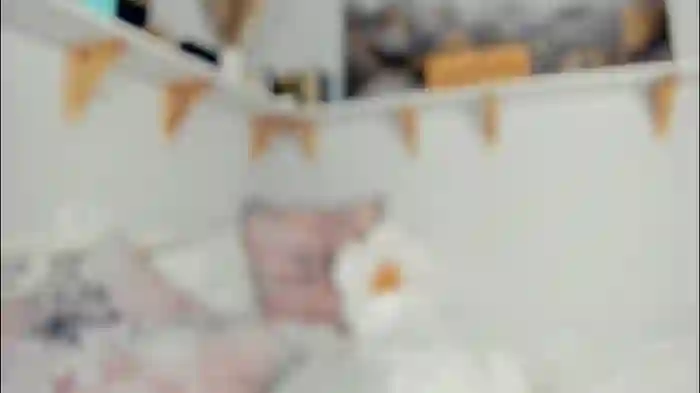 bunny_nova