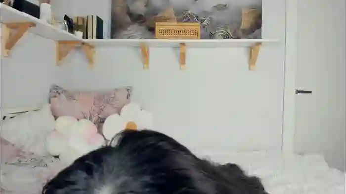 bunny_nova