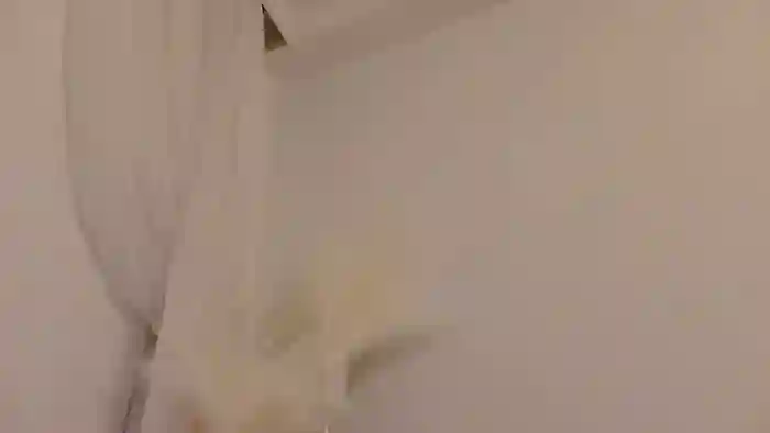 lilbeccaxo