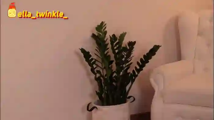 ella_twinkle