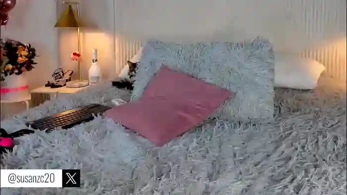 ariana_zc_