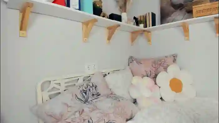 bunny_nova