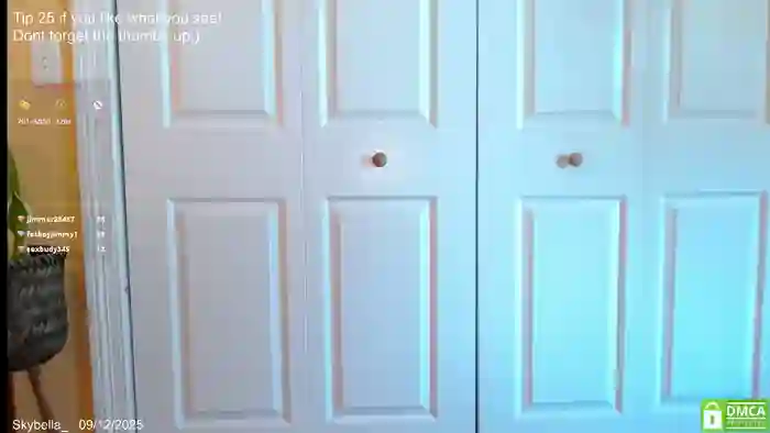 skybella_