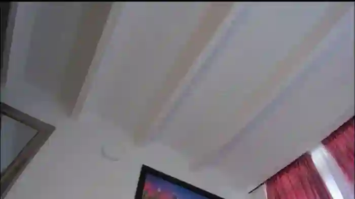 joelandalexa