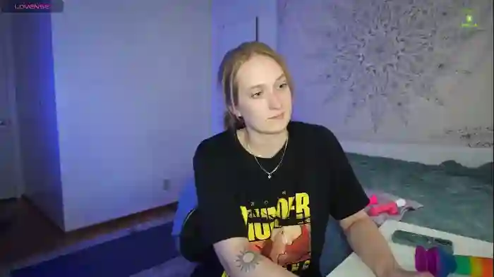laylas_universe