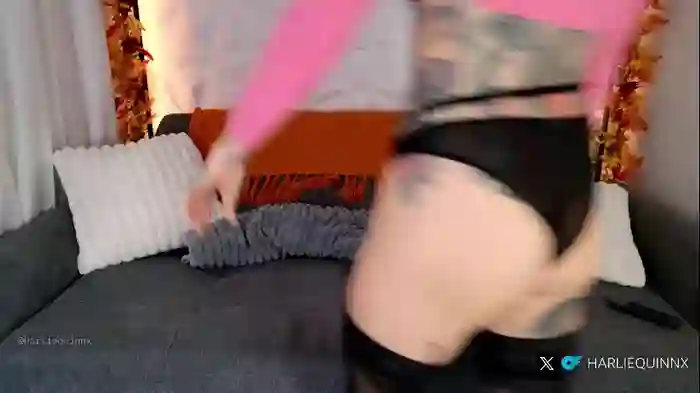 harliequinnx