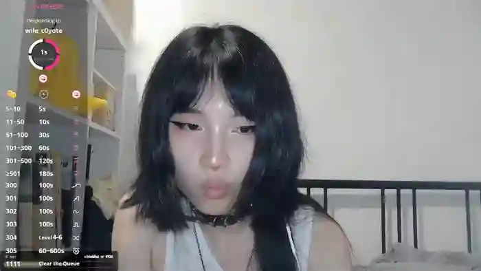 kitty_krush