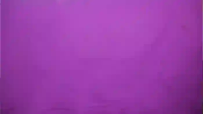 vesia