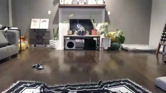 vanessawildly