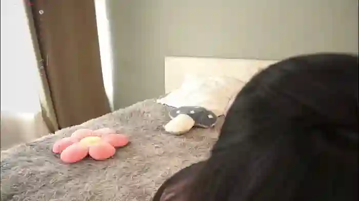 noreenbeckey