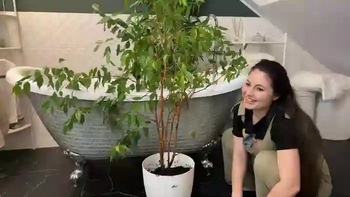 laurenbrite