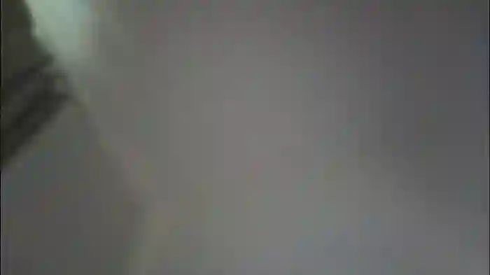 elisa_bright