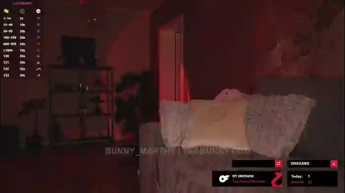 bunny_marthy