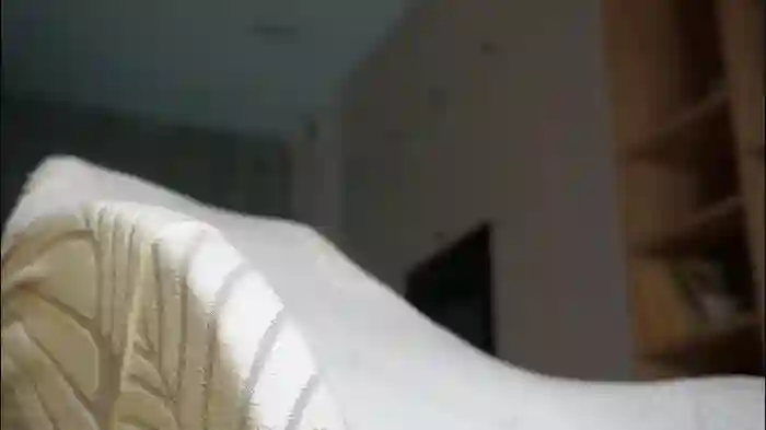 sonya_kelsey