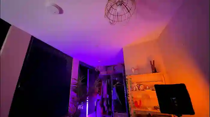vixenp