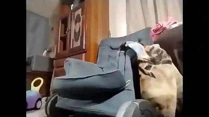 rustyshackelford1902