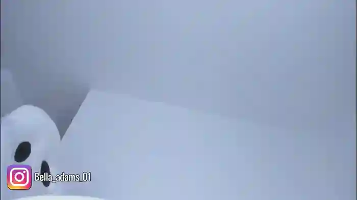 bella_adams_