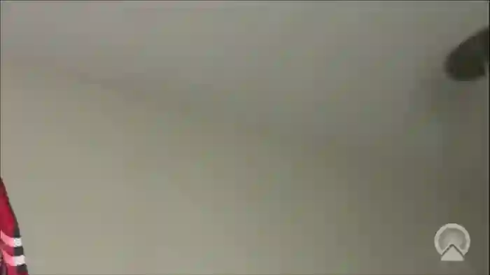 publicuniversalpussy