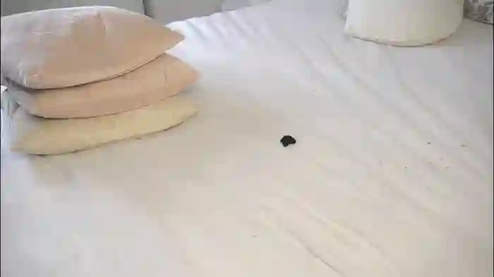 inthelabyrinthsofmysoul