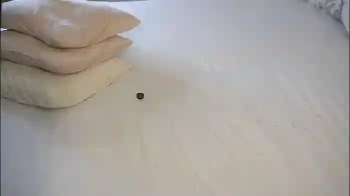 inthelabyrinthsofmysoul