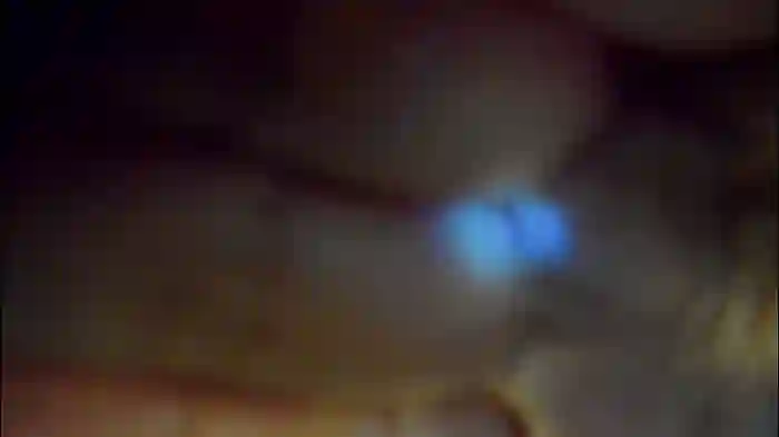 dongfatherproductions