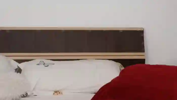 megan-blaze