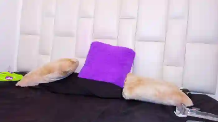 kessie-bunny