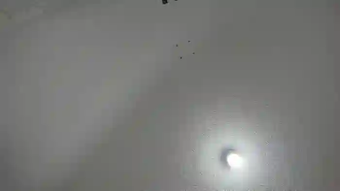 kaylee-cruz-and-eithan-white