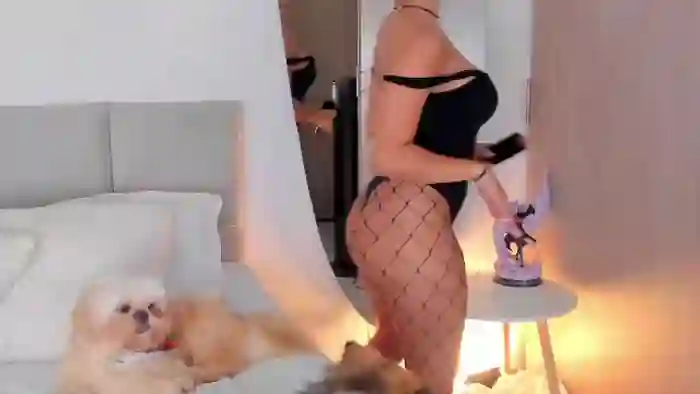 evangelyne-excalibur