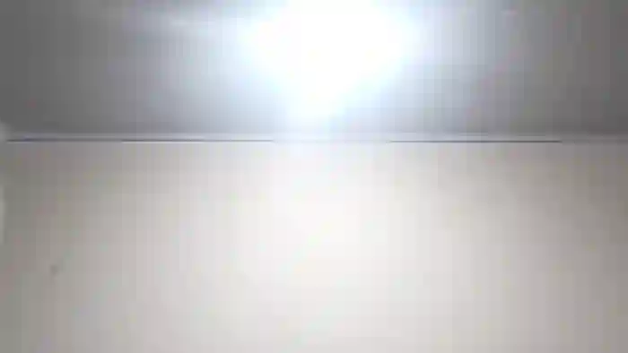 mia-and-eva-whatsson