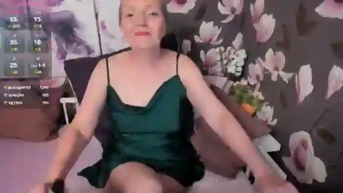 karen-villis